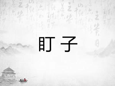 盯子