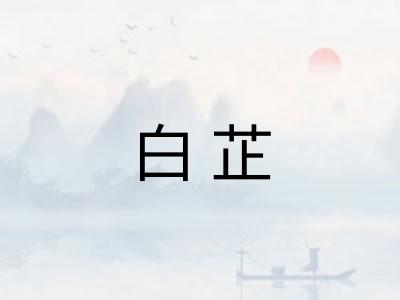 白芷