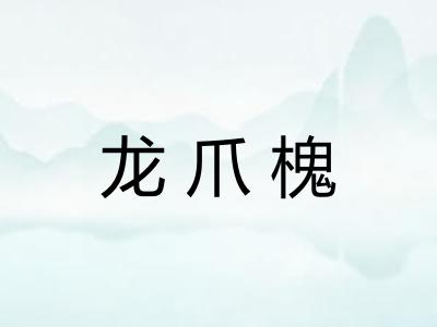 龙爪槐