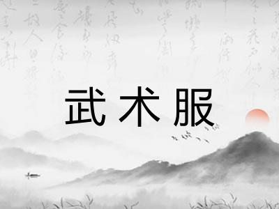 武术服