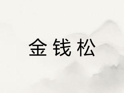 金钱松