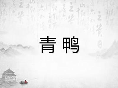 青鸭