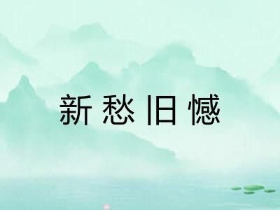 新愁旧憾