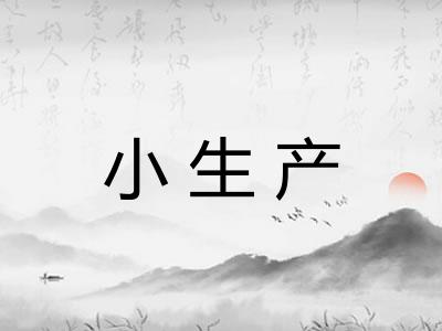 小生产