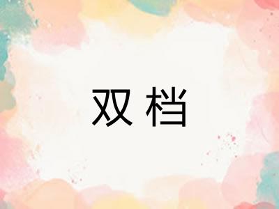 双档