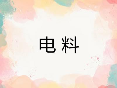 电料