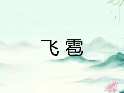 飞雹