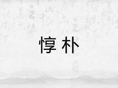 惇朴