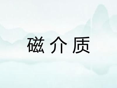 磁介质