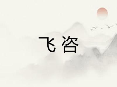 飞咨