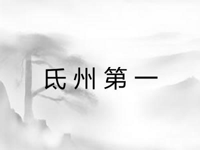 氐州第一