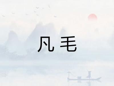 凡毛