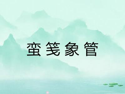 蛮笺象管