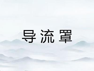 导流罩