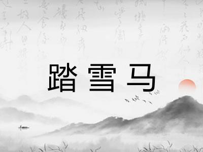 踏雪马