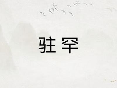 驻罕