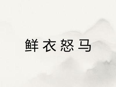 鲜衣怒马