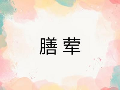 膳荤