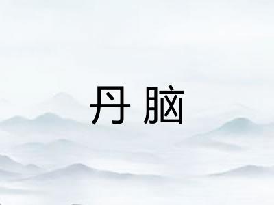 丹脑