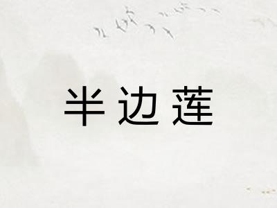 半边莲