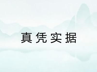 真凭实据