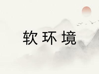 软环境