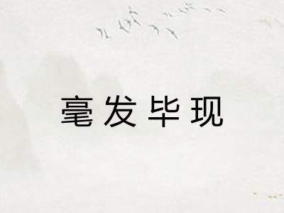 毫发毕现