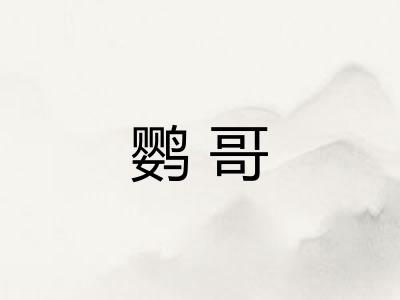 鹦哥