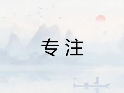 专注