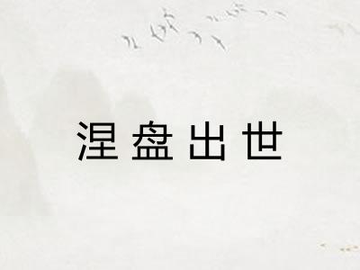 涅盘出世