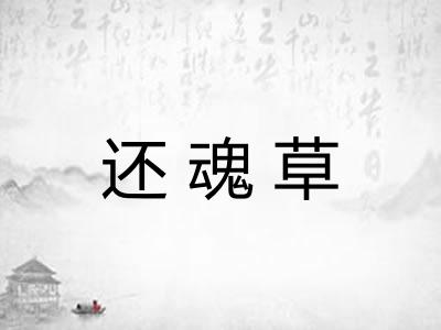 还魂草