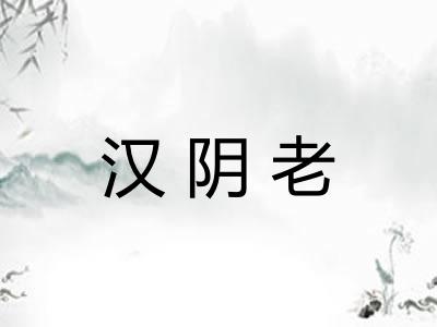汉阴老