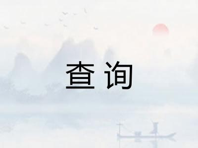 查询
