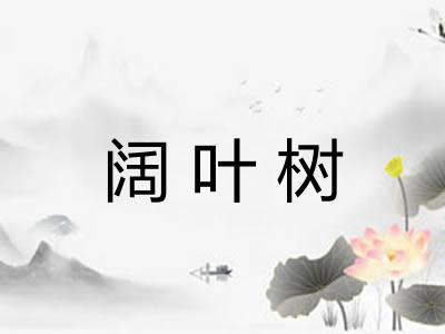 阔叶树