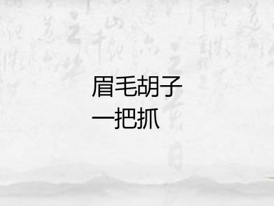 眉毛胡子一把抓