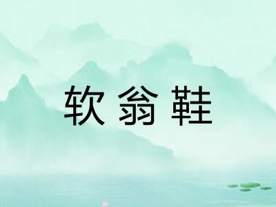 软翁鞋