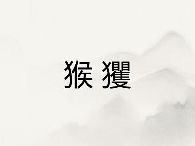 猴玃
