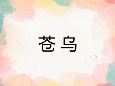 苍乌