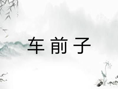 车前子