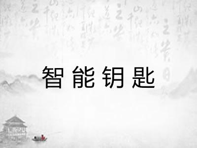 智能钥匙