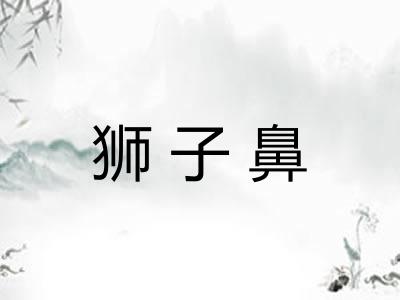 狮子鼻