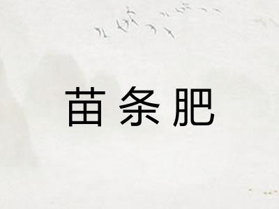 苗条肥