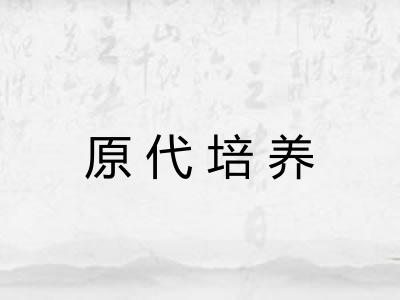 原代培养