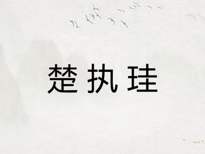 楚执珪