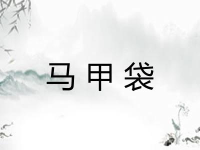 马甲袋