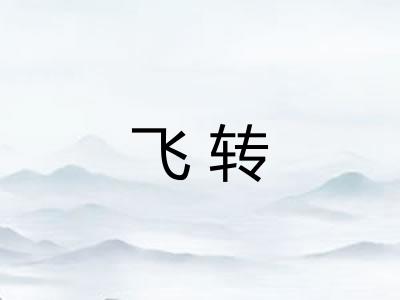 飞转