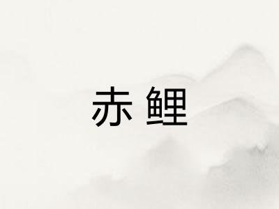 赤鲤
