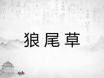 狼尾草
