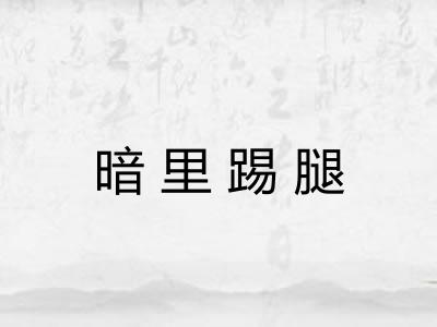 暗里踢腿