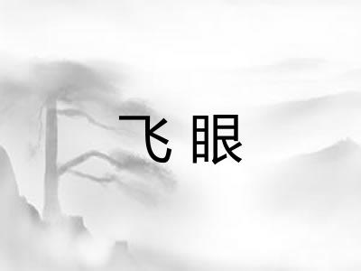 飞眼